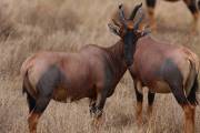 05-10IMG_4441