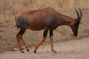 05-11IMG_6232