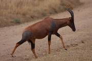 05-11IMG_6233
