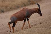 05-11IMG_6234