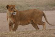 05-11IMG_6251