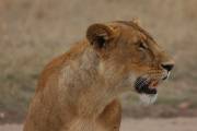 05-11IMG_6254