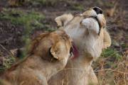 05-14IMG_6602