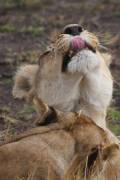 05-14IMG_6617