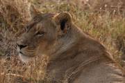 05-14IMG_6637