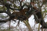 05-15IMG_4847