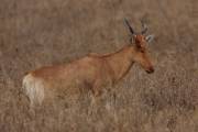 05-18IMG_4898