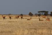 05-18IMG_5037