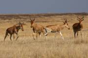 05-18IMG_5047
