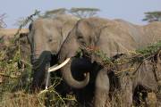 05-22IMG_6332