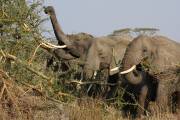 05-22IMG_6349