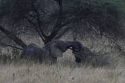 05-24IMG_4567