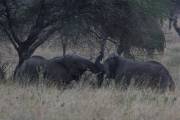 05-24IMG_4574