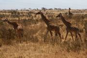 05-26IMG_5090