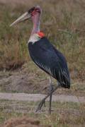 05-27IMG_6488
