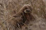 05-28IMG_4964