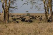 05-29IMG_6321