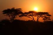 05-33IMG_4684