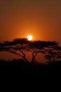 05-34IMG_6409