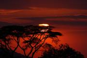 05-35IMG_4979