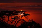 05-35IMG_4984