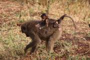 06-01IMG_5145