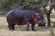 06-03IMG_5211