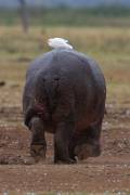 06-03IMG_7307