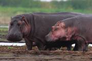 06-03IMG_7325