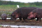 06-03IMG_7344
