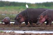 06-03IMG_7349