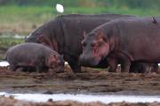 06-03IMG_7361