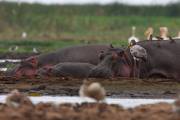 06-03IMG_7444