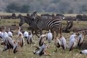 06-04IMG_5192