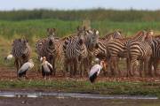 06-04IMG_6879
