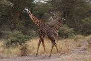 06-05IMG_5281