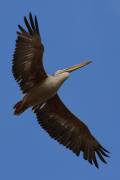 06-05IMG_6809