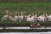 06-05IMG_7296