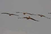 06-05IMG_7446