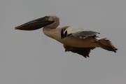 06-05IMG_7466