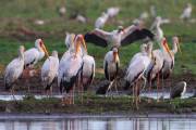 06-06IMG_6876