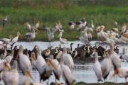 06-06IMG_6882