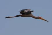 06-06IMG_6895