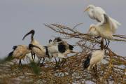 06-06IMG_7007