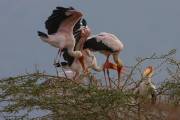 06-06IMG_7035