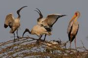 06-06IMG_7061