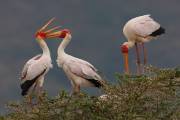 06-06IMG_7315