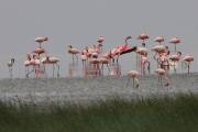 06-09IMG_7664