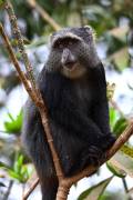 06-10IMG_5338