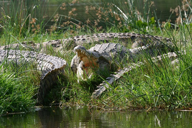 CRW_3059_RJ
